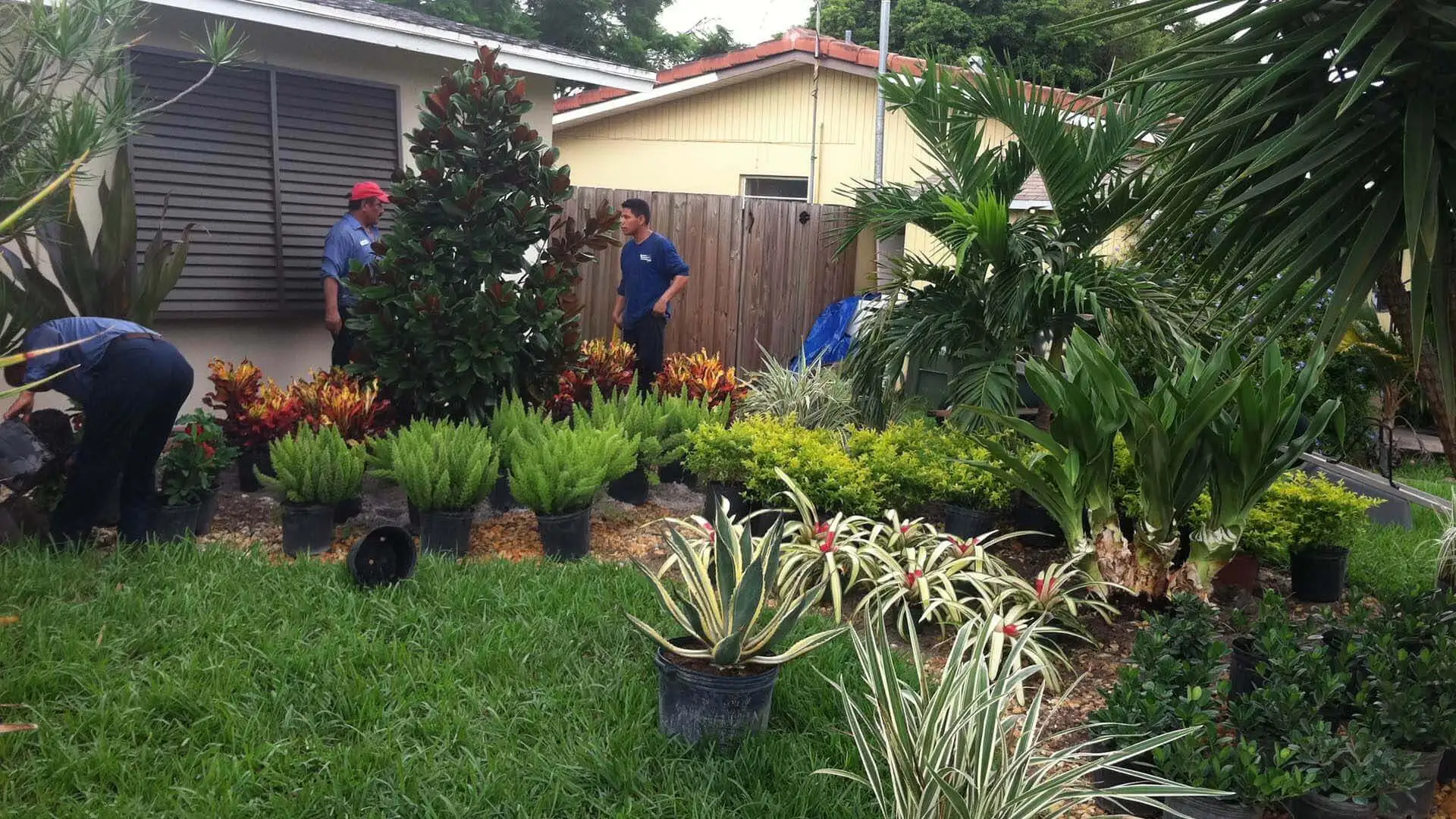 Go2Scape.Inc employees working on a residential home in Parkland, FL