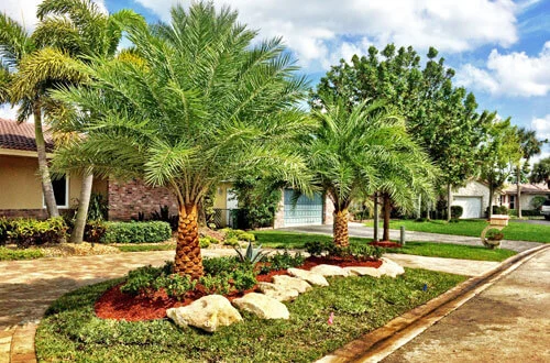 Newly designed and installed landscaping at a home in Fort Lauderdale, FL