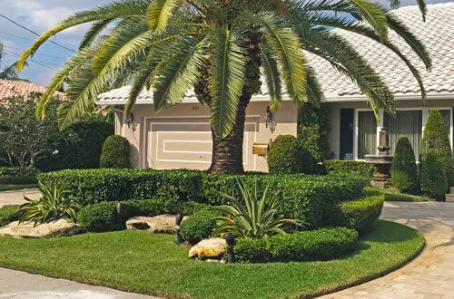 Perfectly maintained yard and landscaping by Go2Scape.Inc in Parkland, FL